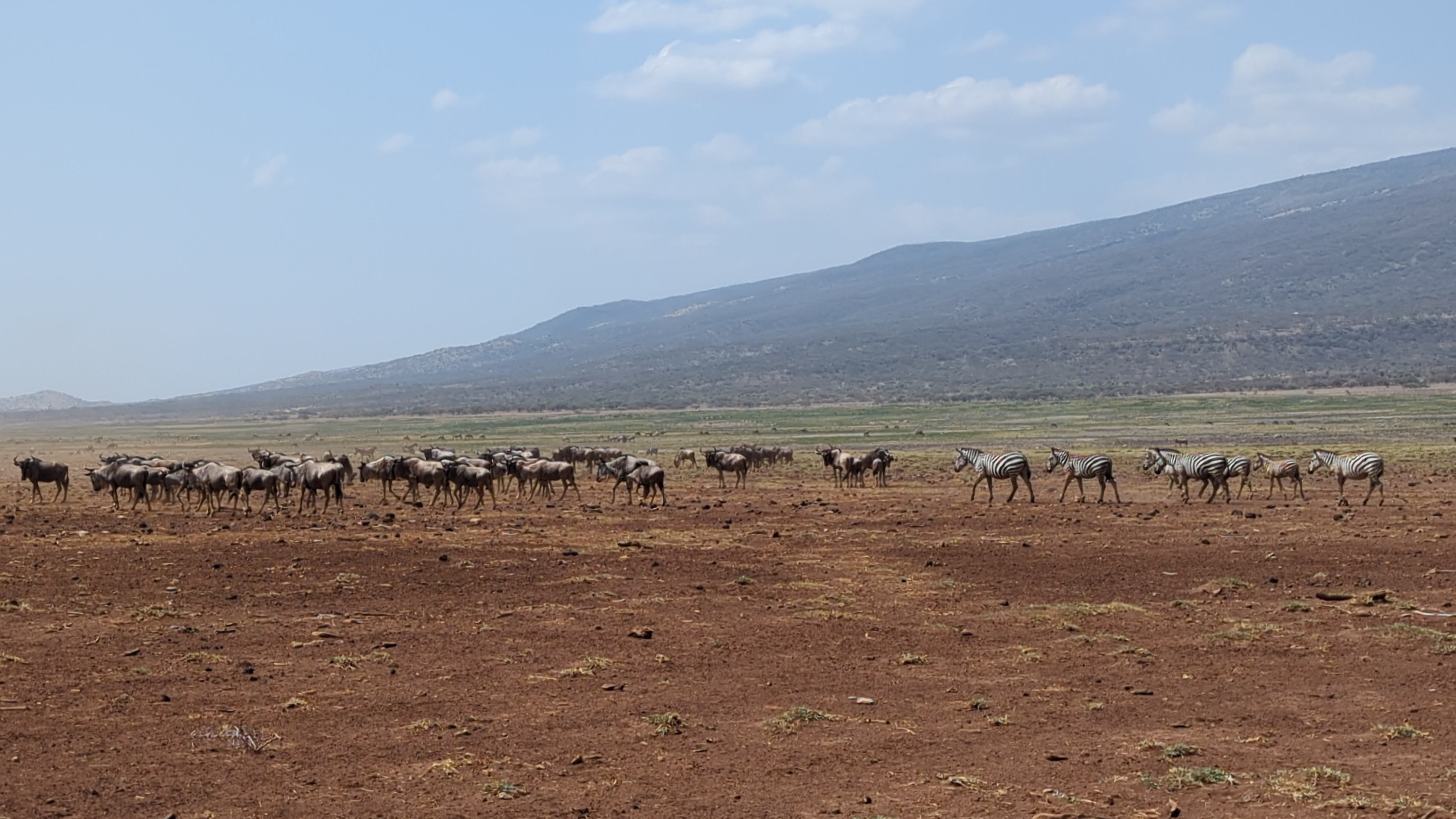 Lake Natron View 4